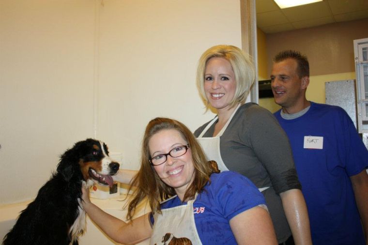 Annual Boxer Luv Rescue dog wash